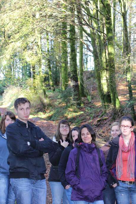 A L'ORÉE DU BOIS BALADE EN FORET A L'ORÉE DU BOIS BALADE EN FORET