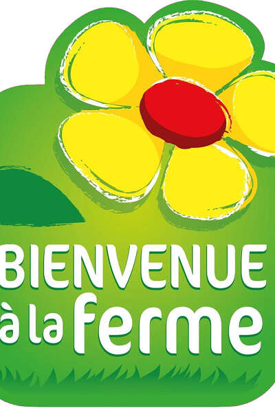 Pain Bio à l'ancienne Pain Bio à l'ancienne