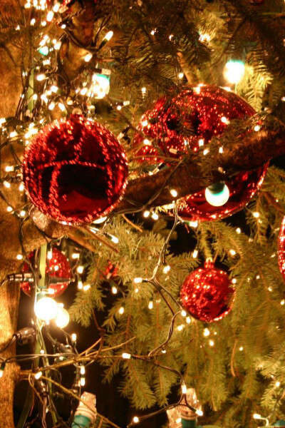 Marché de Noël Marché de Noël