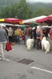 Marché de Pays Marché de Pays