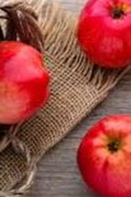 Fête de la Pomme Fête de la Pomme