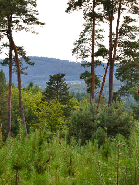 RANDONNEE BIVOUAC RANDONNEE BIVOUAC