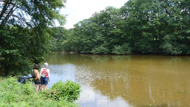 Le parc de la Higourdais